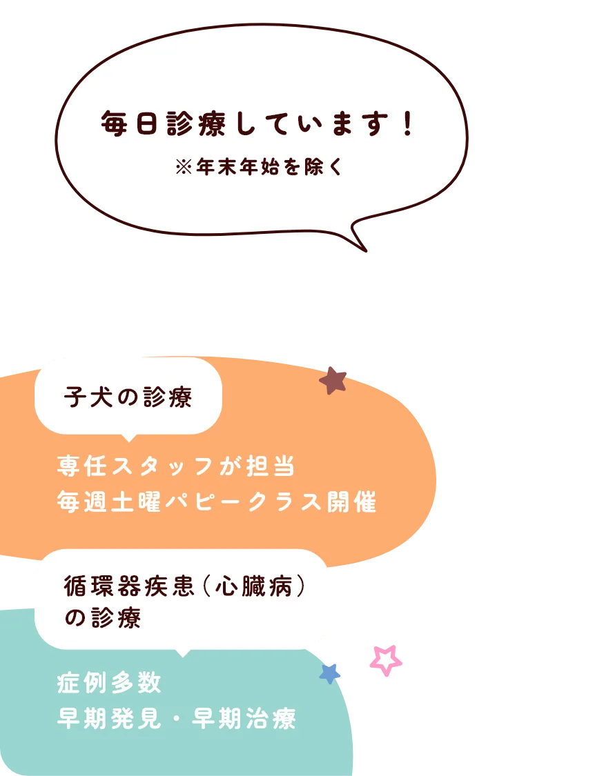 毎日診療しています!※年末年始を除く 子犬の診療 専任スタッフが担当毎週土曜パピークラス開催 循環器疾患(心臓病)の診療 症例多数早期発見・早期治療