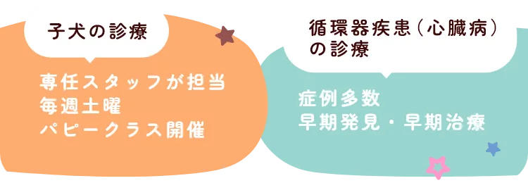 子犬の診療 循環器疾患(心臓病)の診療