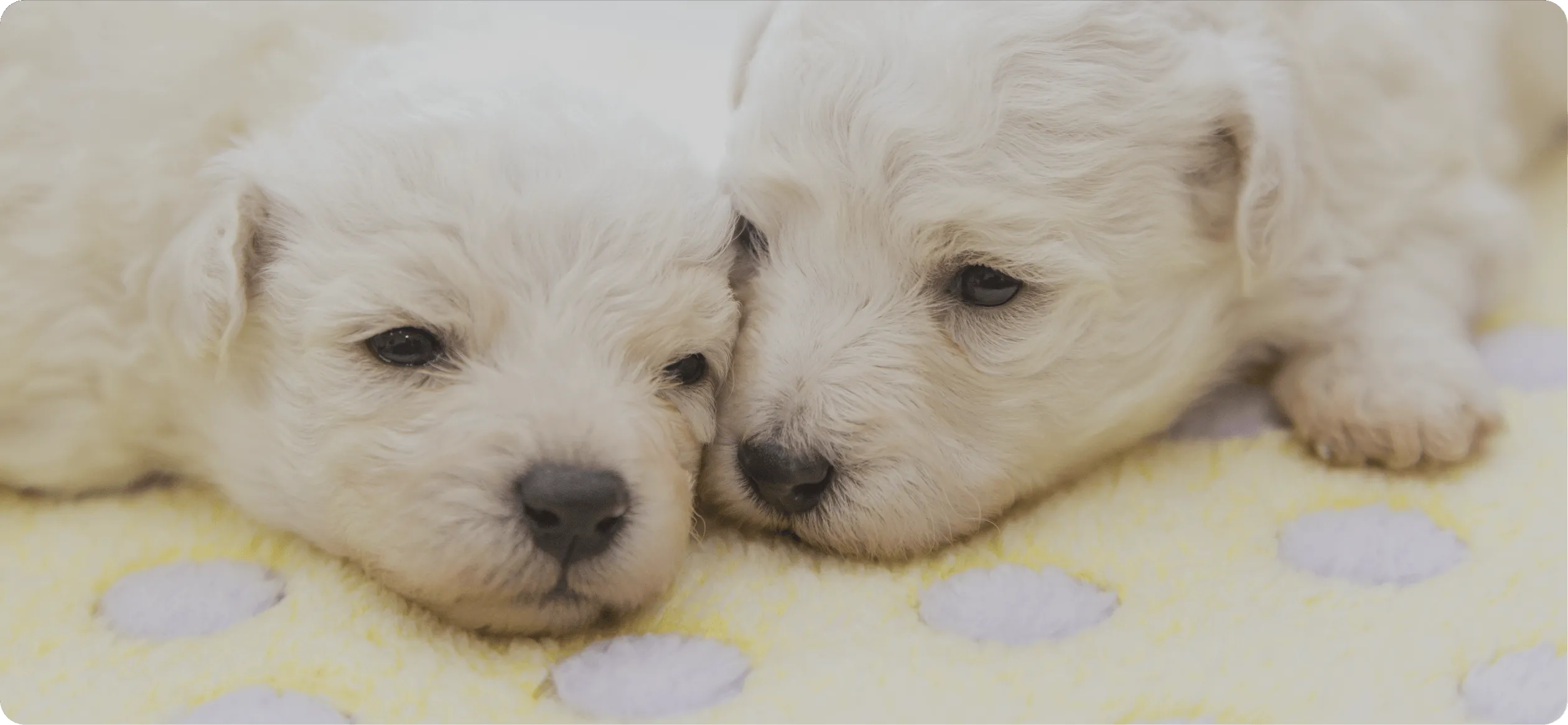 ベビーからシニアまで家族の一生を共に支えます01