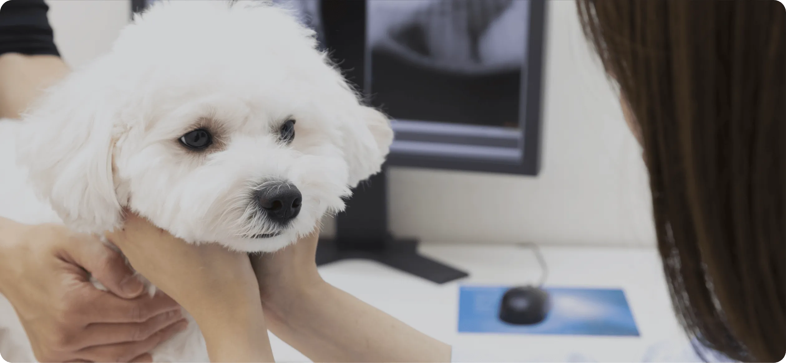 ベビーからシニアまで家族の一生を共に支えます02