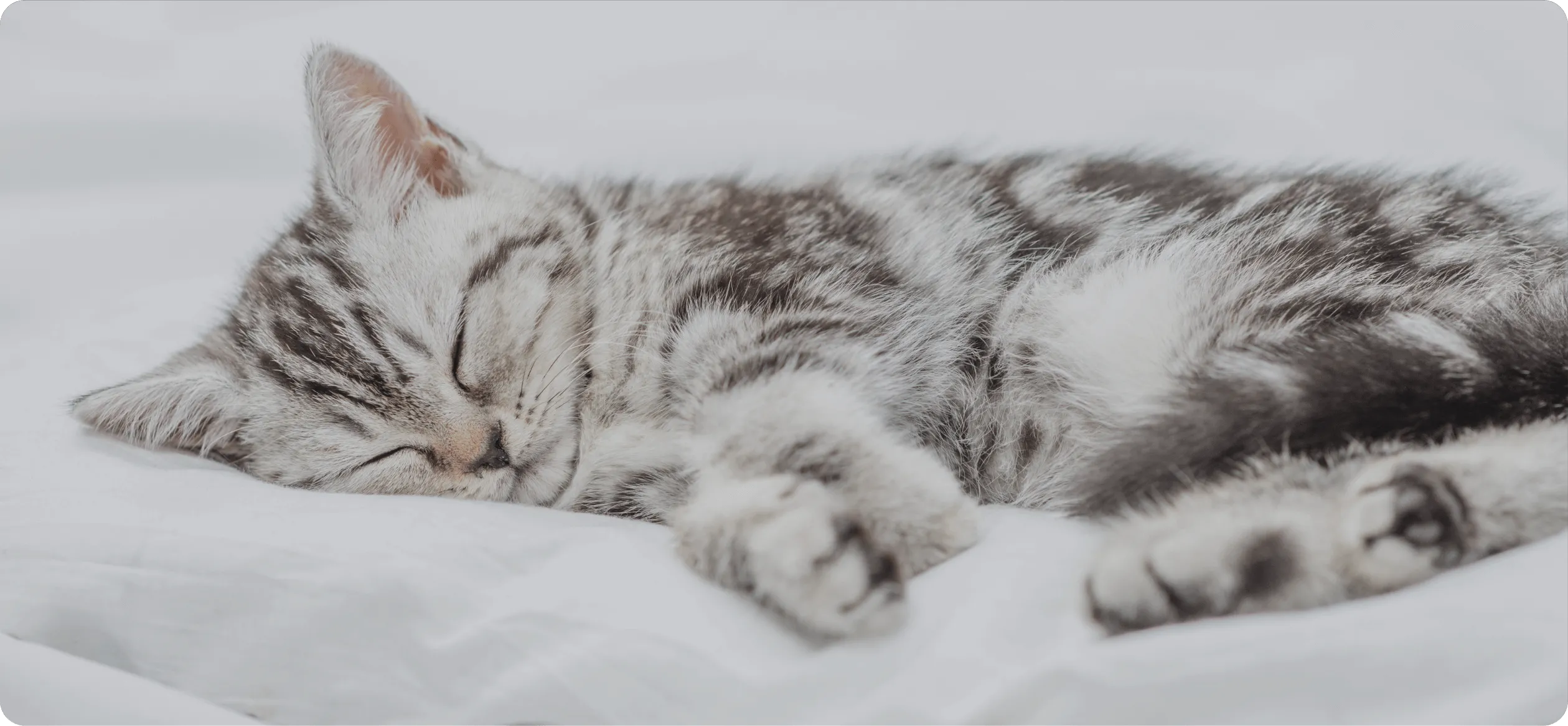 ベビーからシニアまで家族の一生を共に支えます03