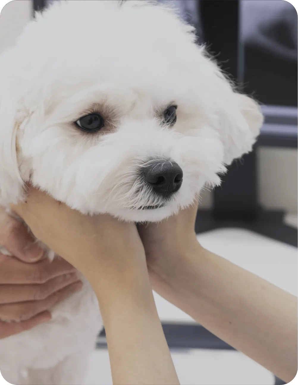 ベビーからシニアまで家族の一生を共に支えます02