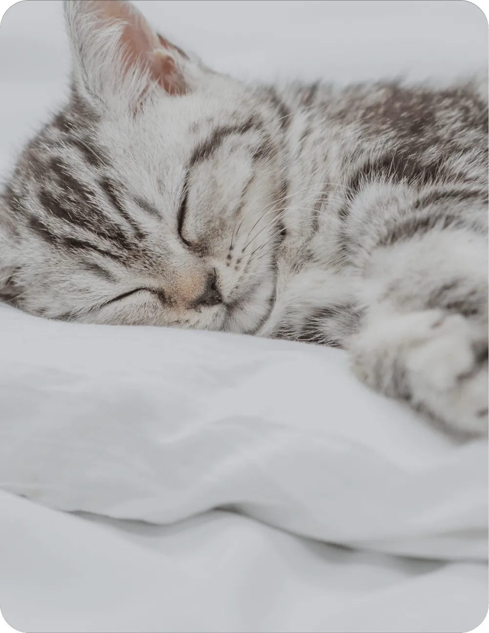 ベビーからシニアまで家族の一生を共に支えます03