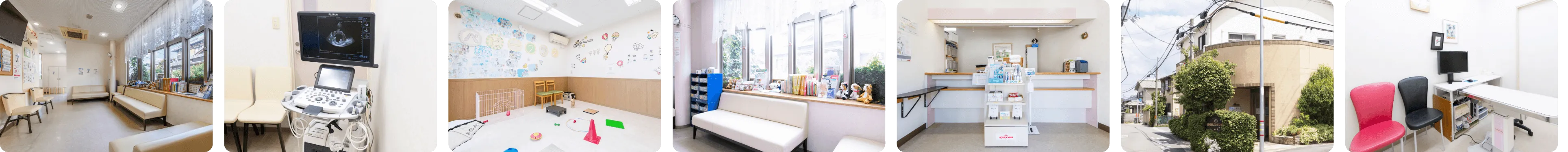 西向日どうぶつ病院